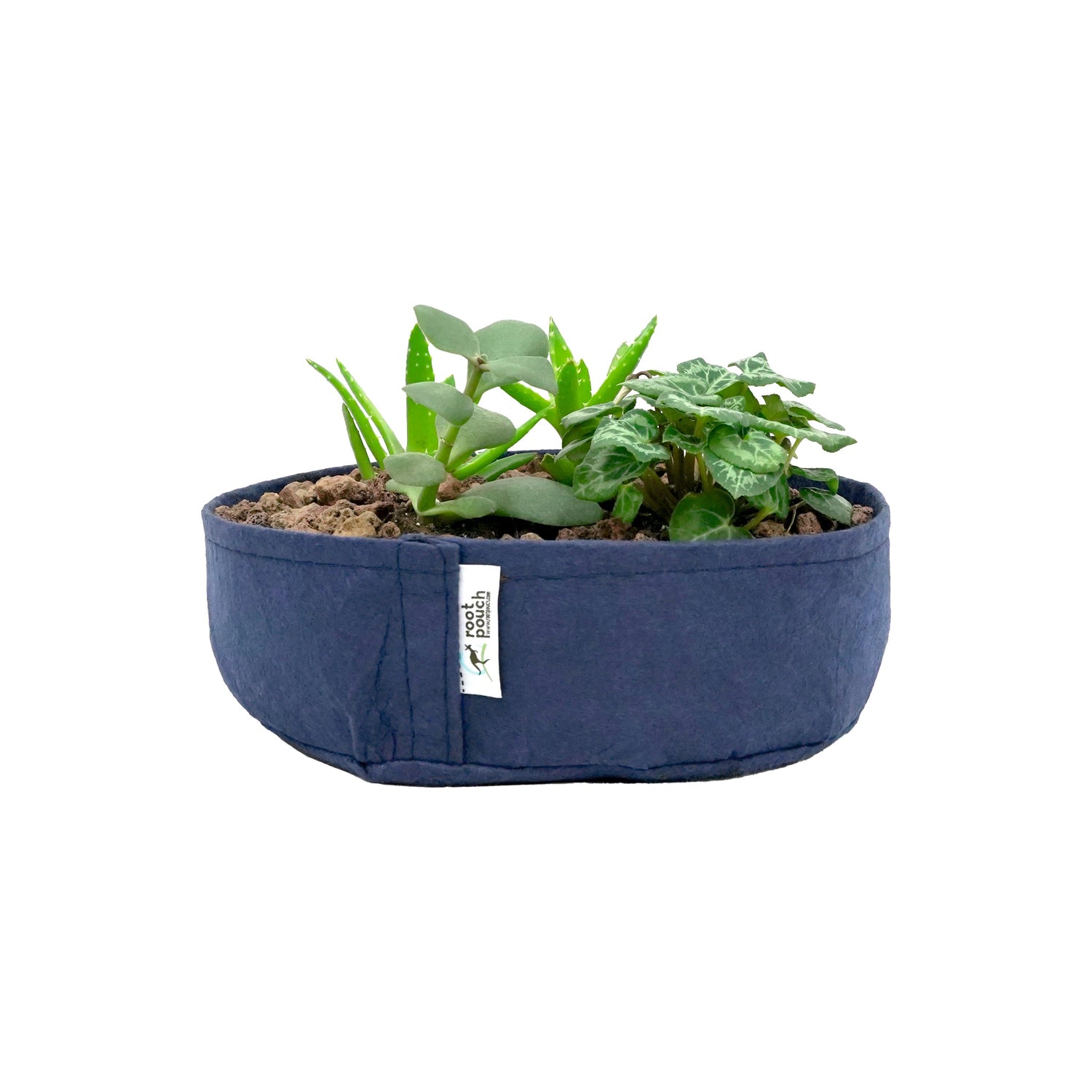 Root Pouch Jack With Herbal Plant