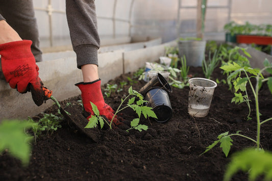 Late-Winter Container Gardening: Best Crops to Grow Now | Grow Root Pouch
