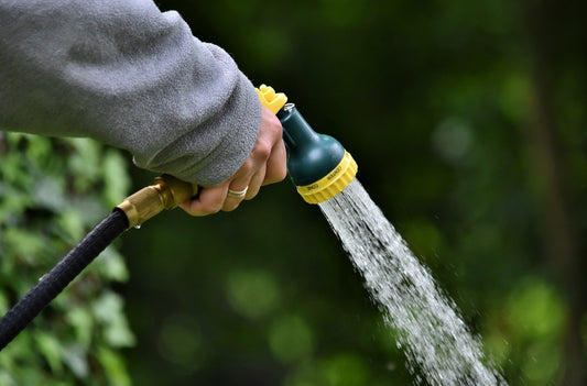 gardener holding a hose watering the plants in the garden